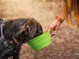 Collapsible Travel Dog Bowl Set