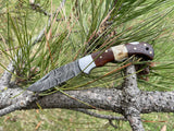 POCKET KNIFE WALNUT WOOD & STAG 6.5'' DAMASCUS STEEL TF-019