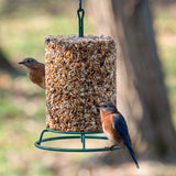 Bugs, Nuts, & Fruit Cylinder - Large