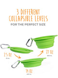 Collapsible Travel Dog Bowl Set