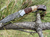 POCKET KNIFE WALNUT WOOD & STAG 6.5'' DAMASCUS STEEL TF-019